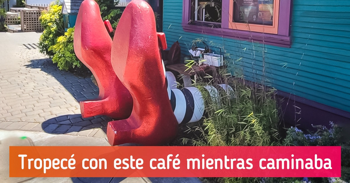 18 Situaciones en las que los usuarios sintieron que viajaron con Alicia al país de las maravillas