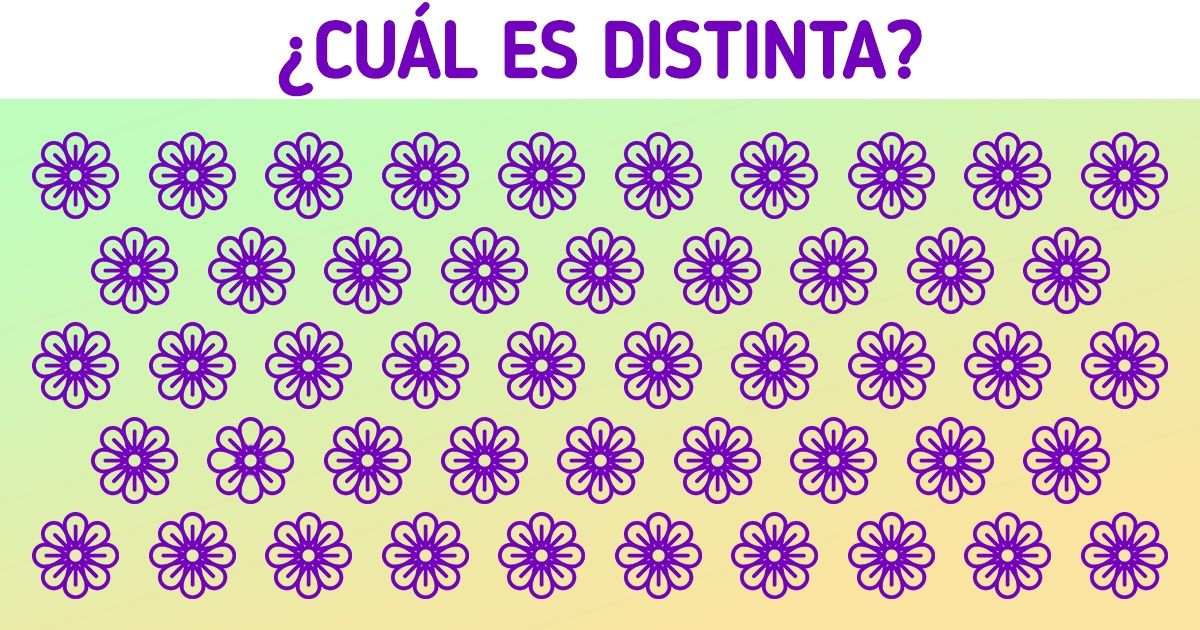 Test: Prueba tu agudeza visual y encuentra la flor que no pertenece al grupo (15 acertijos)