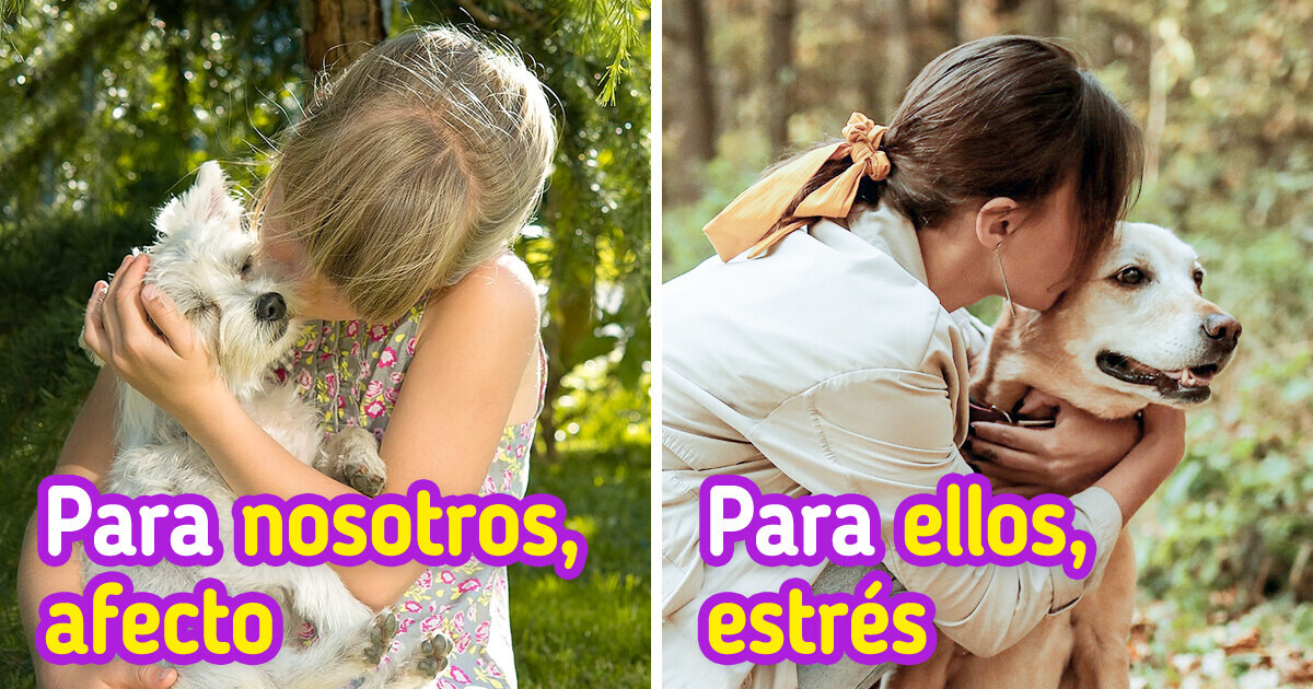 10 Razones por las que un perro podría no querer ser el mejor amigo del hombre 10 Razones por las que un perro podría no querer ser el mejor amigo del hombre