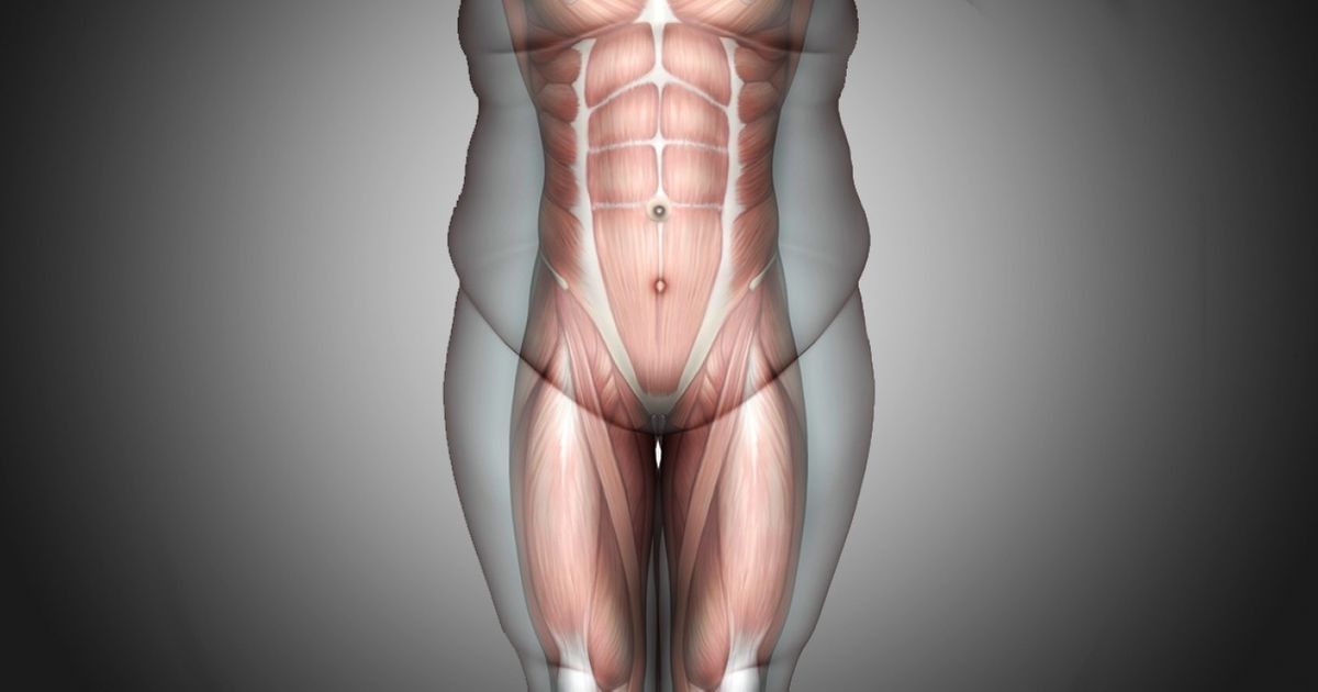 Una rutina de 5 minutos que transformará tu cuerpo en 30 días