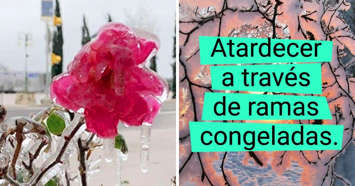 20 Objetos que pasaron de comunes a extraordinarios luego de que una nevada les cayera encima