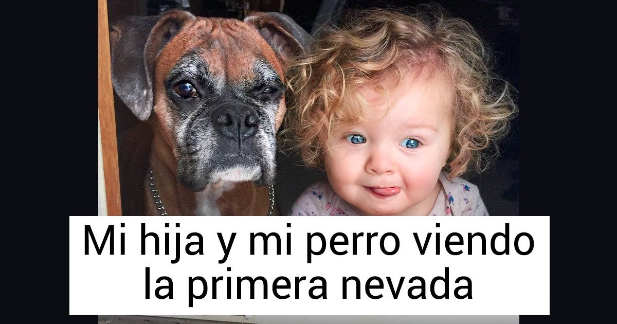 20 Fotos que prueban que los perros son un regalo del cielo 20 Fotos que prueban que los perros son un regalo del cielo