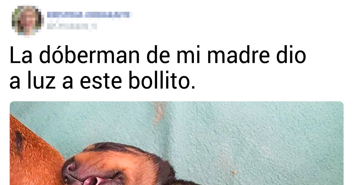 20+ Fotos que aportan tanta calidez como el sol en plena primavera