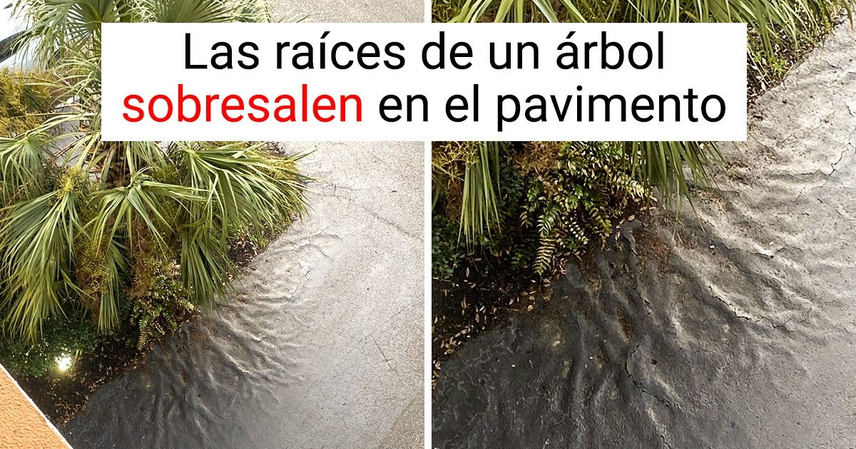 17 Pruebas de que la naturaleza es una guerrera que no conoce la palabra “imposible”
