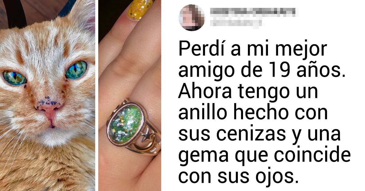 15 Momentos emocionales que alimentarán tu corazón y tu alma