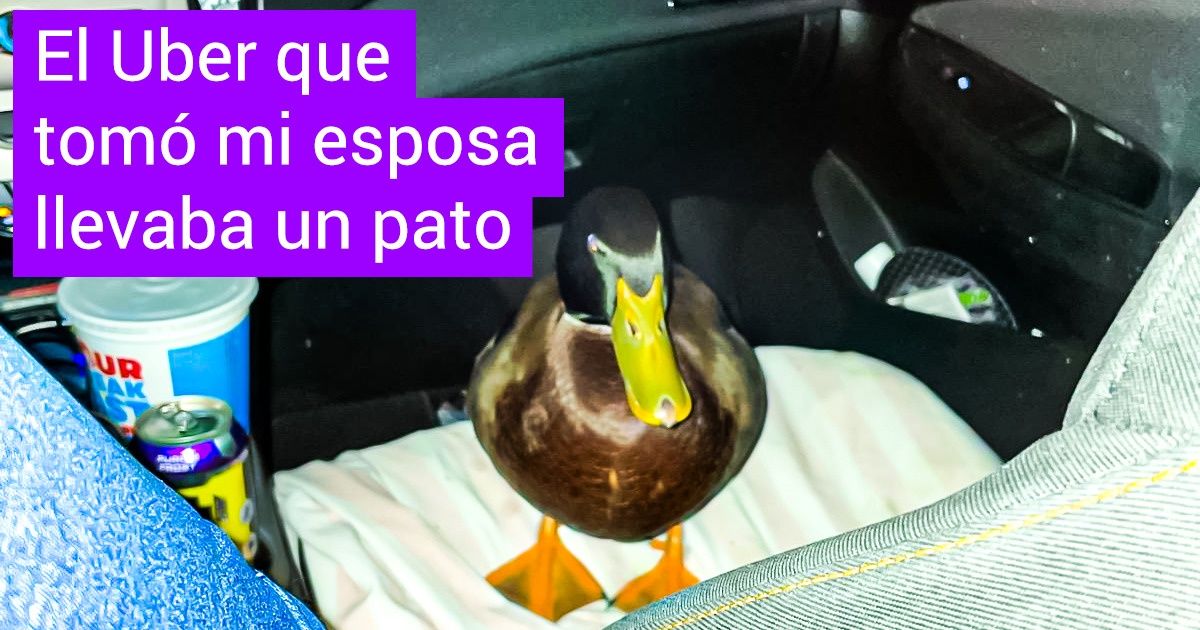 20 Personas que se encontraron con esas cosas únicas del mundo que si no las ves, no las crees 20 Personas que se encontraron con esas cosas únicas del mundo que si no las ves, no las crees
