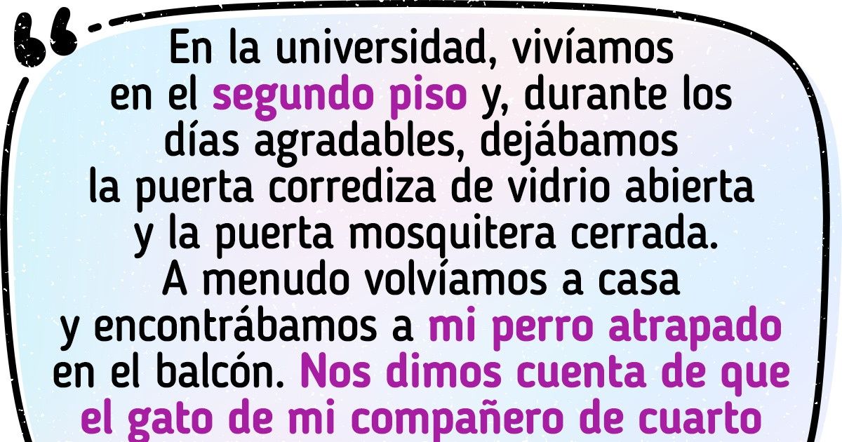 15 Usuarios de Reddit comparten algunas de las divertidas peleas que tienen sus mascotas 15 Usuarios de Reddit comparten algunas de las divertidas peleas que tienen sus mascotas