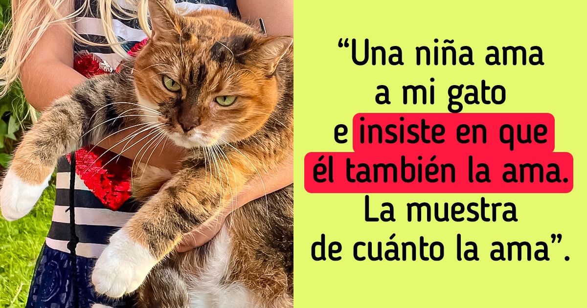 23 Fotografías que cuentan las aventuras e historias de adorables animales