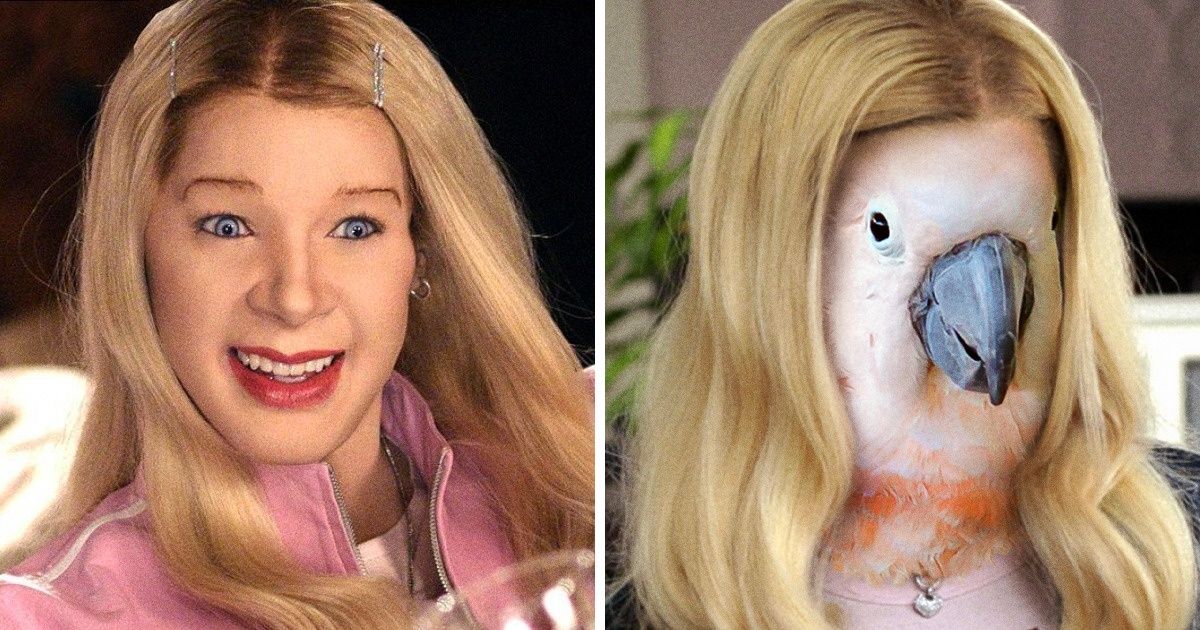 Imaginamos cómo lucirían 15 personajes de películas si las historias hubieran sido actuadas por animales Imaginamos cómo lucirían 15 personajes de películas si las historias hubieran sido actuadas por animales
