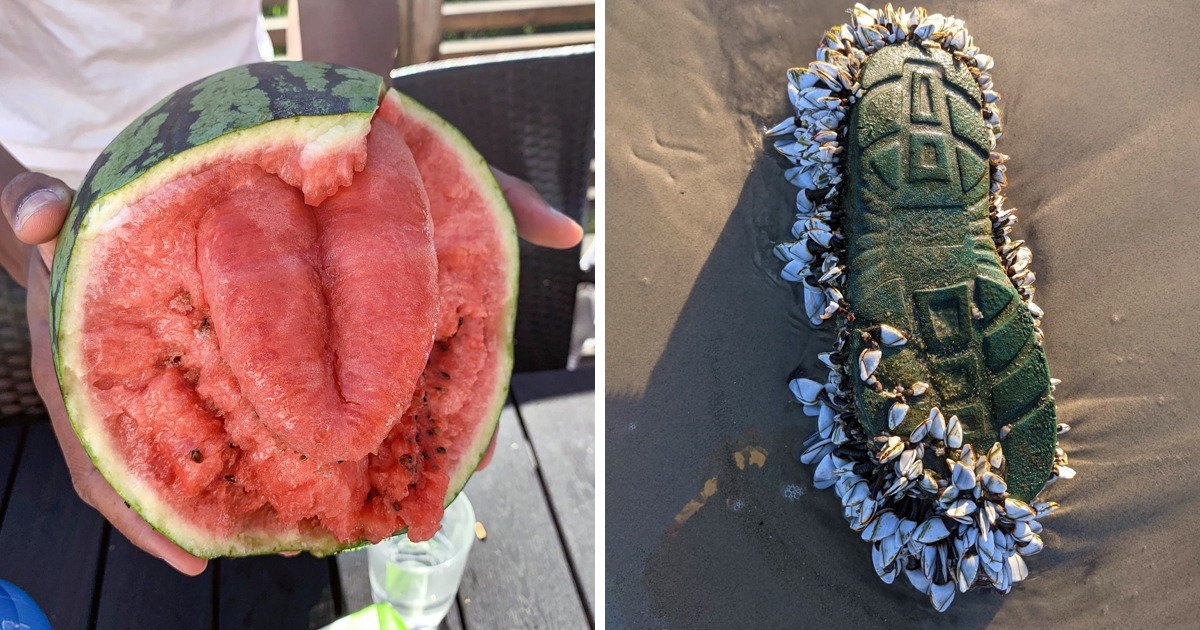 18 Personas que se toparon con el arte de la naturaleza y lo compartieron con todo el mundo