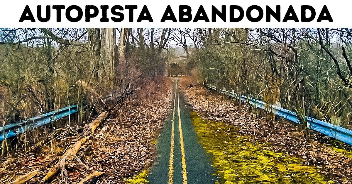 20+ Fotografías que te harán decir: “¡No puede ser!”