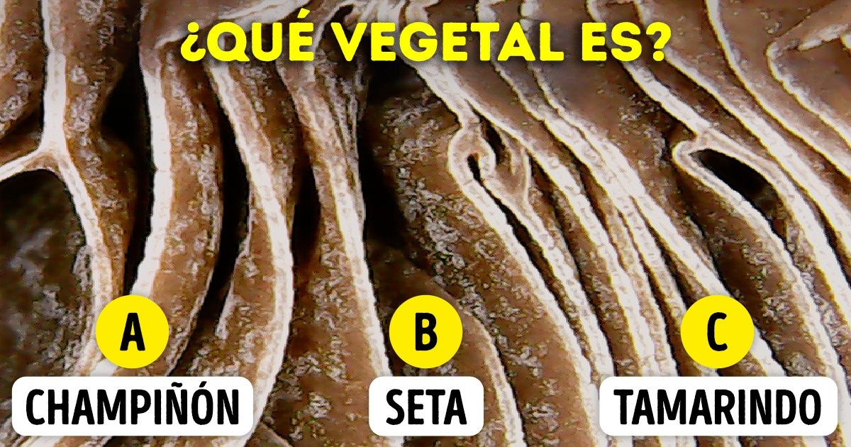 Test: intenta reconocer estos vegetales con solo ver su foto tomada con un microscopio