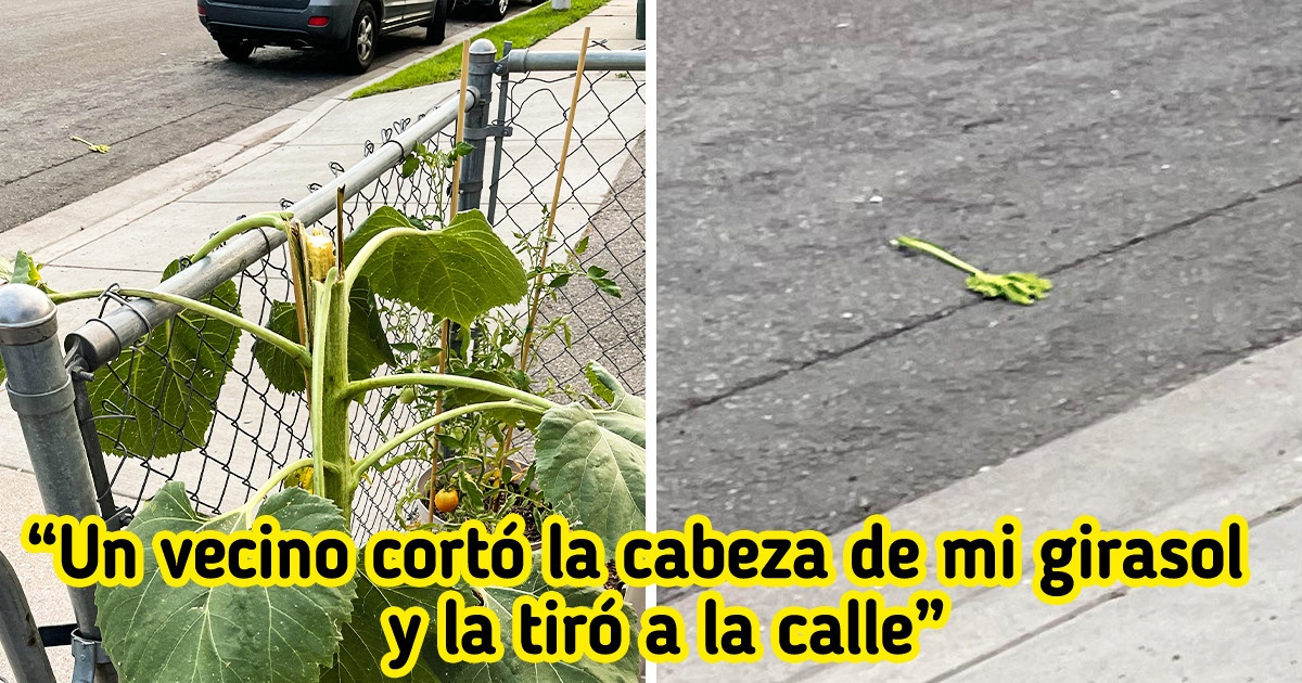 21 Personas que no se sacaron la lotería con sus vecinos