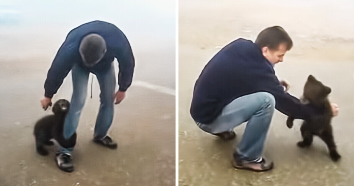 Un joven rescató a un bebé oso y su reacción lo conmovió