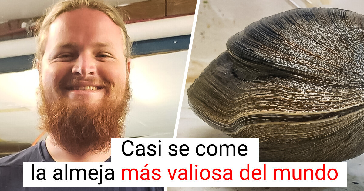 El hombre que estuvo a punto de hacer una sopa con un molusco que lo pudo hacer millonario