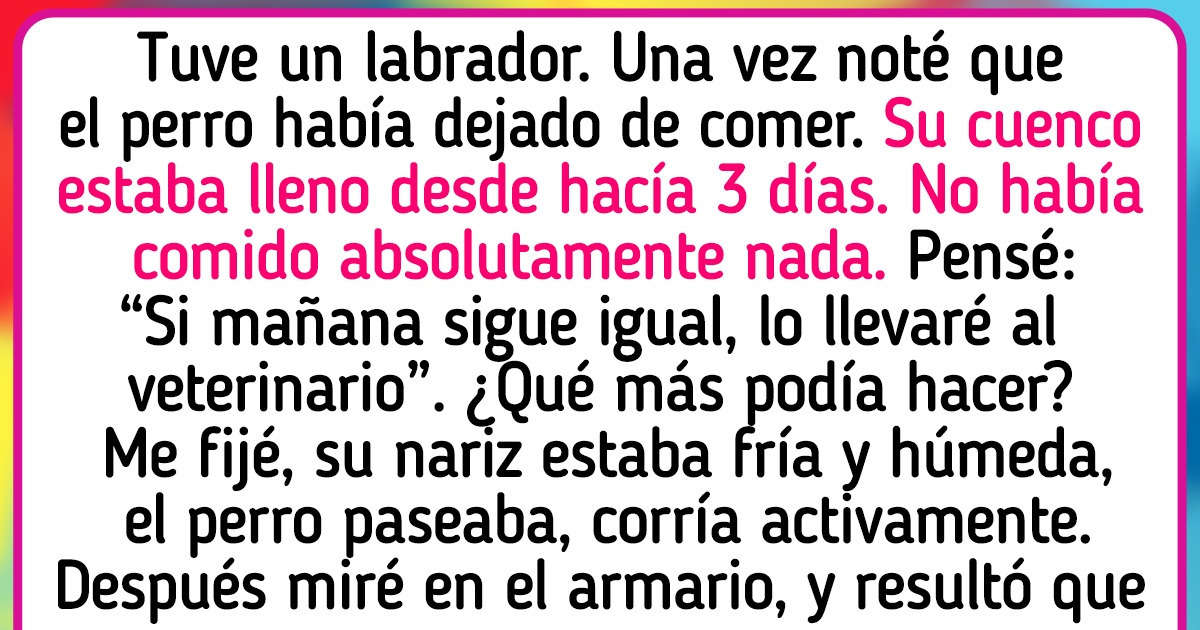 15 Historias que demuestran que los perros son un verdadero regalo para la humanidad
