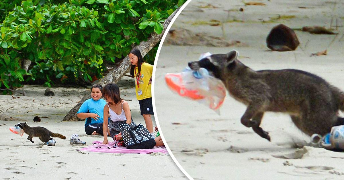 15 Personas que trataron de tomar una foto sencilla y, en cambio, obtuvieron algo magistral