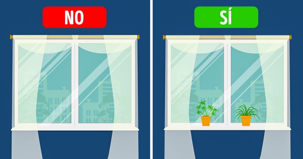 7 Consejos simples para no caer enfermo estando en la misma casa con una persona resfriada 7 Consejos simples para no caer enfermo estando en la misma casa con una persona resfriada