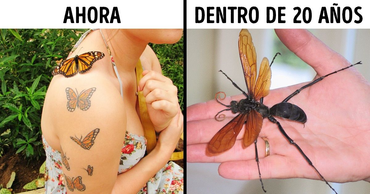9 Inesperados problemas que traerá el calentamiento global
