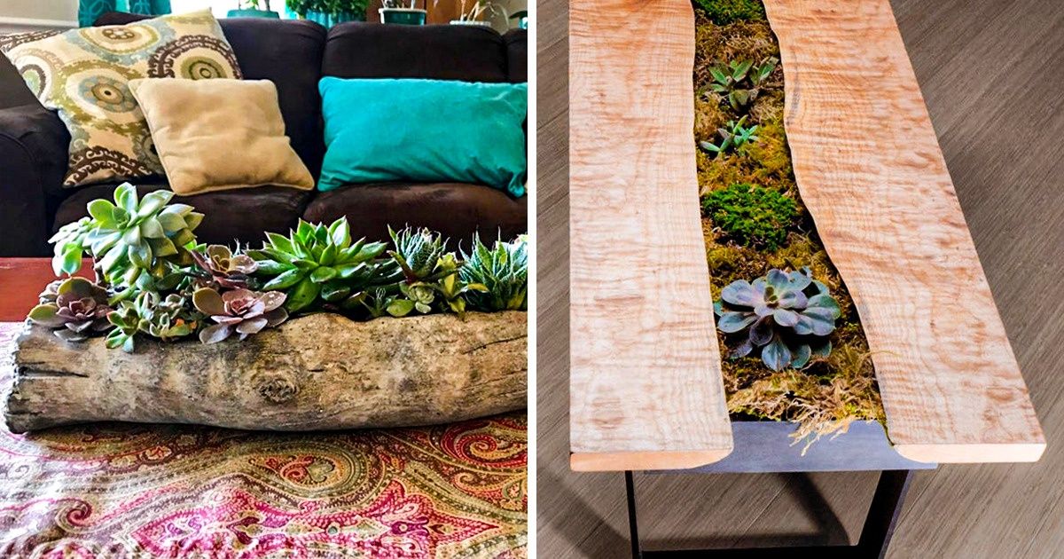 19 Formas de tener un mini jardín en lugar de una mesa corriente (y algunos consejos para su elaboración) 19 Formas de tener un mini jardín en lugar de una mesa corriente (y algunos consejos para su elaboración)