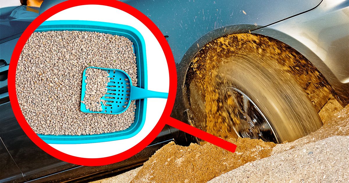 11 Cosas que un conductor inteligente guarda en su auto