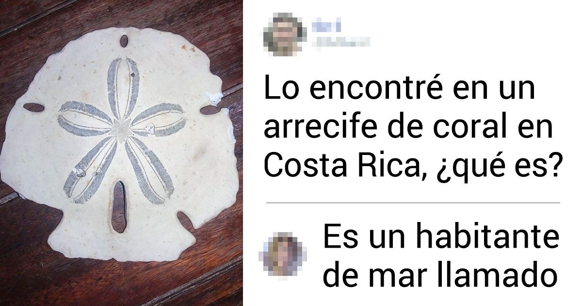 19 Personas encontraron objetos misteriosos y acudieron a los usuarios de la red para descubrir qué eran 19 Personas encontraron objetos misteriosos y acudieron a los usuarios de la red para descubrir qué eran