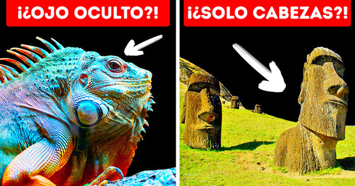 Un lagarto con 3 ojos y otros 40 datos interesantes que querrás guglear
