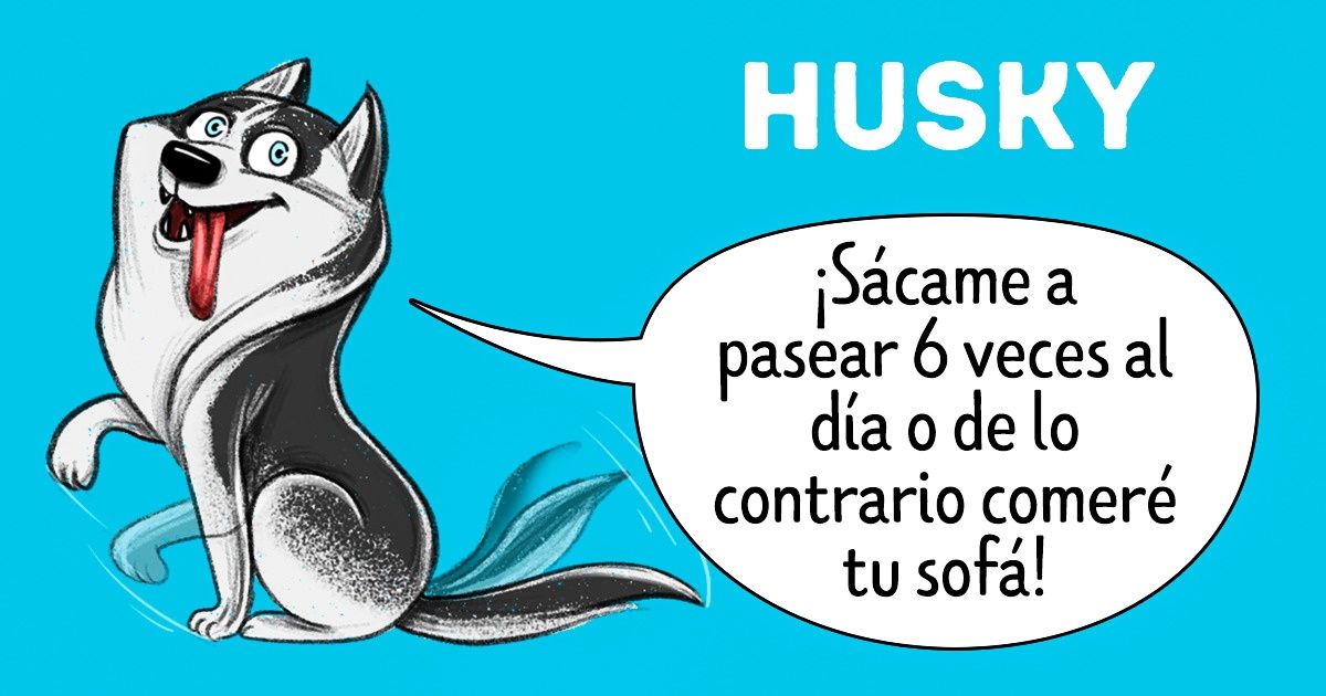 Guía verídica de primera mano sobre las diferentes razas de perros Guía verídica de primera mano sobre las diferentes razas de perros