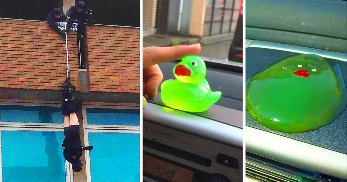 21 Fotografías que demuestran que aún no has visto todo en esta vida