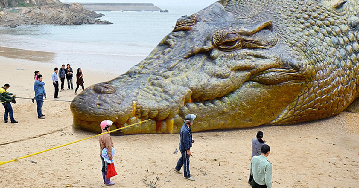 27 Animales que no querrías encontrarte 27 Animales que no querrías encontrarte