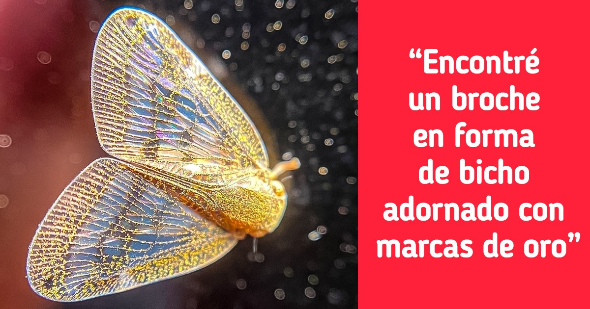 15 Ejemplos de que la creatividad está presente hasta en los lugares menos pensados