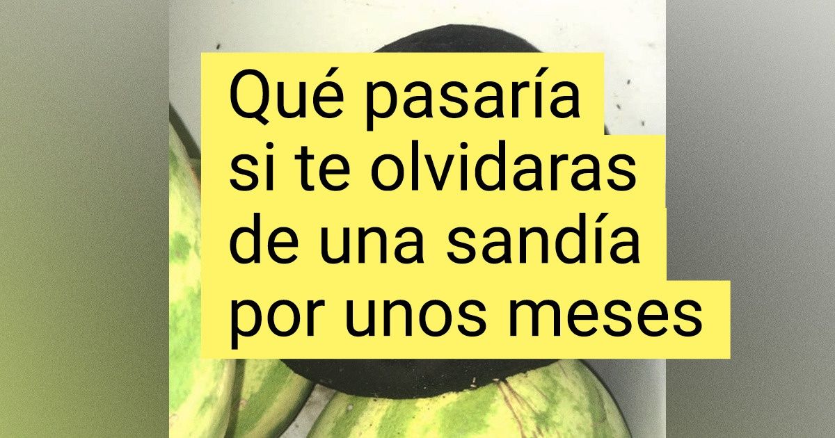 15 Fotos que responden de forma simple y clara a la pregunta “¿Qué pasaría si...?”