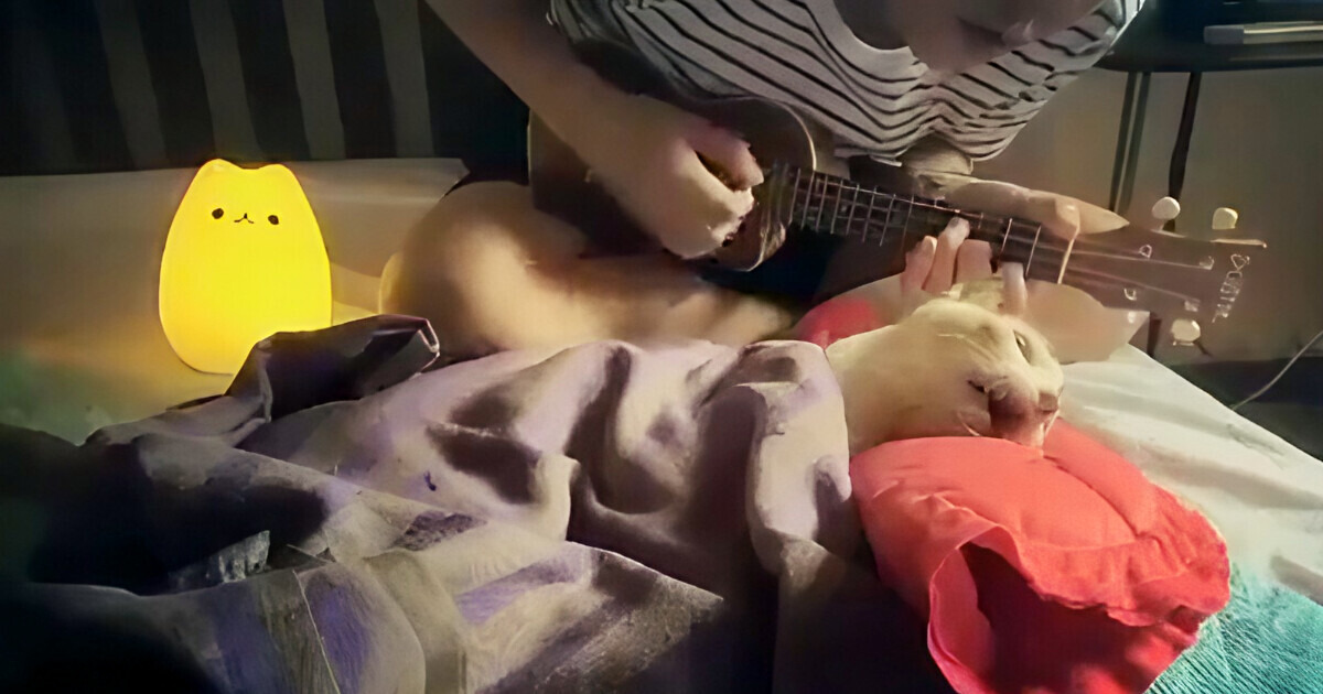 Hombre da serenata a su gato antes de partir y enternece a las redes