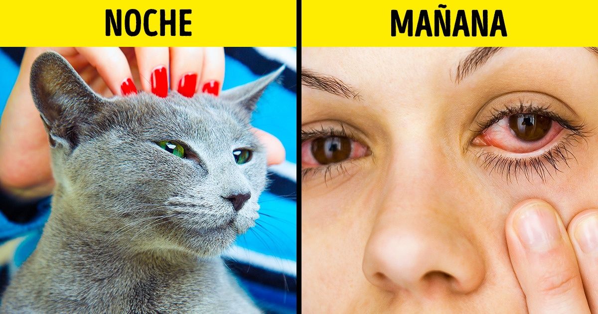 8 Cosas que debes dejar de hacer antes de irte a la cama para dormir mejor 8 Cosas que debes dejar de hacer antes de irte a la cama para dormir mejor