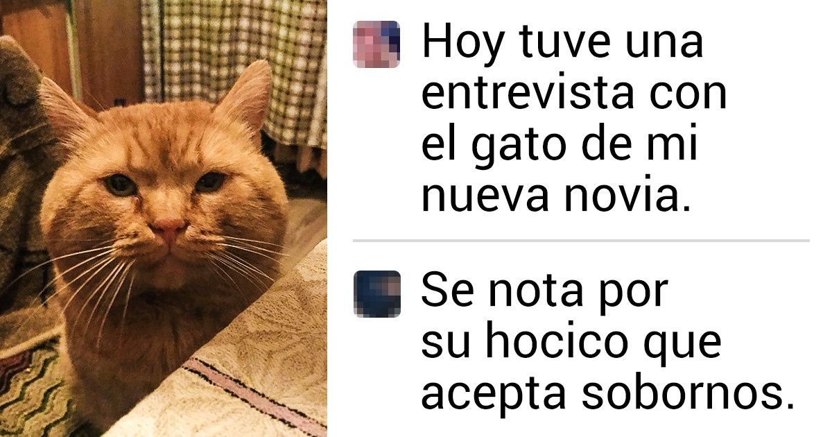 15 Comentarios de los usuarios de las redes sociales que pueden hacer nuestro día con tan solo un par de frases 15 Comentarios de los usuarios de las redes sociales que pueden hacer nuestro día con tan solo un par de frases