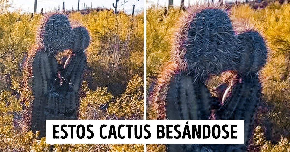 15 Veces en que la vida nos dio sorpresas estremecedoras