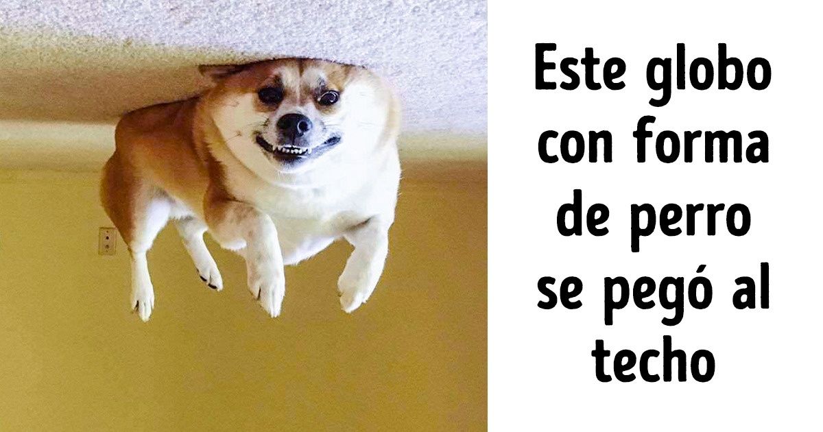 17 Pruebas de que las vidas de las personas con una gran imaginación son más entretenidas que las de los demás