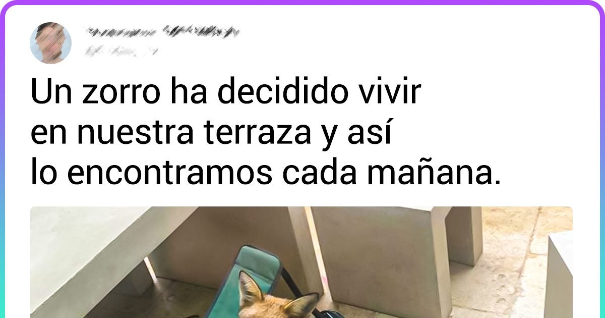 20 Afortunados que se cruzaron con animales únicos o en contextos que no esperaban 20 Afortunados que se cruzaron con animales únicos o en contextos que no esperaban