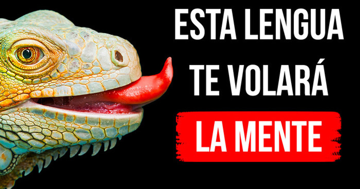 Si tuvieras lengua de lagarto, no tendrías nariz