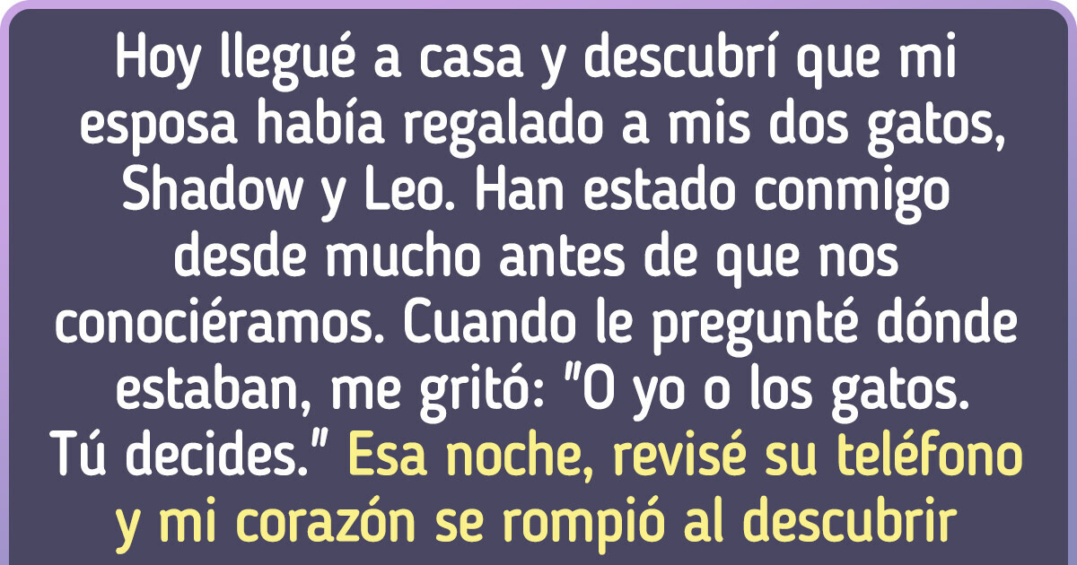 “Ella se deshizo de mis gatos sin decirme nada, pero lo que hizo después destruyó mi mundo” “Ella se deshizo de mis gatos sin decirme nada, pero lo que hizo después destruyó mi mundo”
