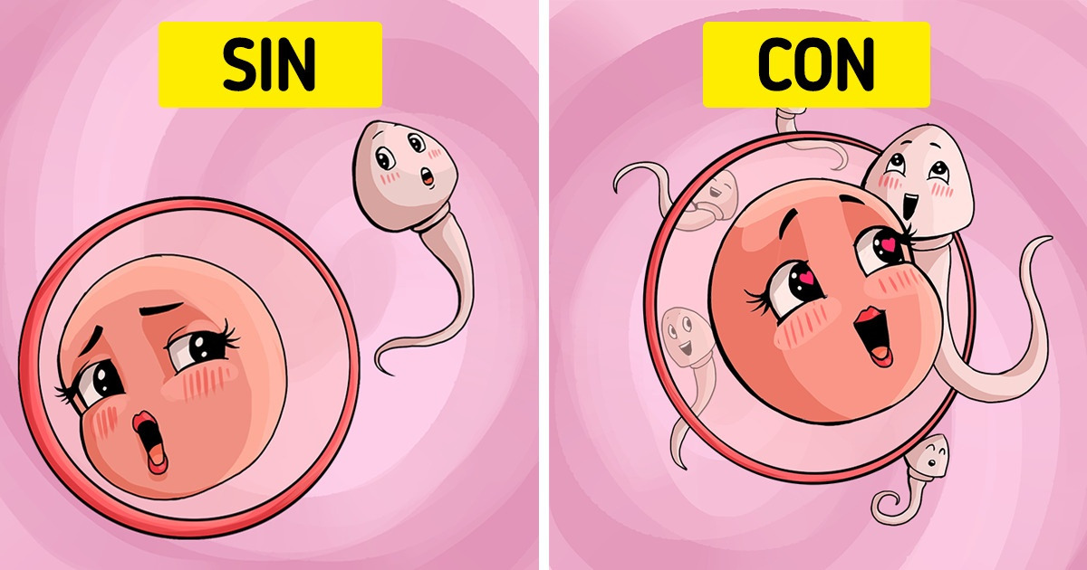 Qué le sucede a nuestro cuerpo si comemos cebollas todos los días