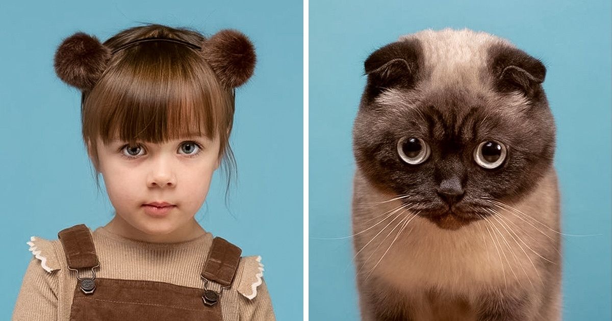 Un fotógrafo compara los retratos de las mascotas y sus dueños, y los resultados son demasiado buenos para ser ignorados (nueva selección)