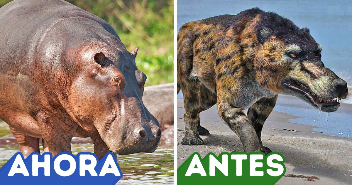 12 Animales modernos que no se parecen en nada a sus antepasados