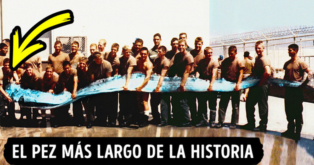 10 Criaturas de las profundidades marinas que te darán pesadillas