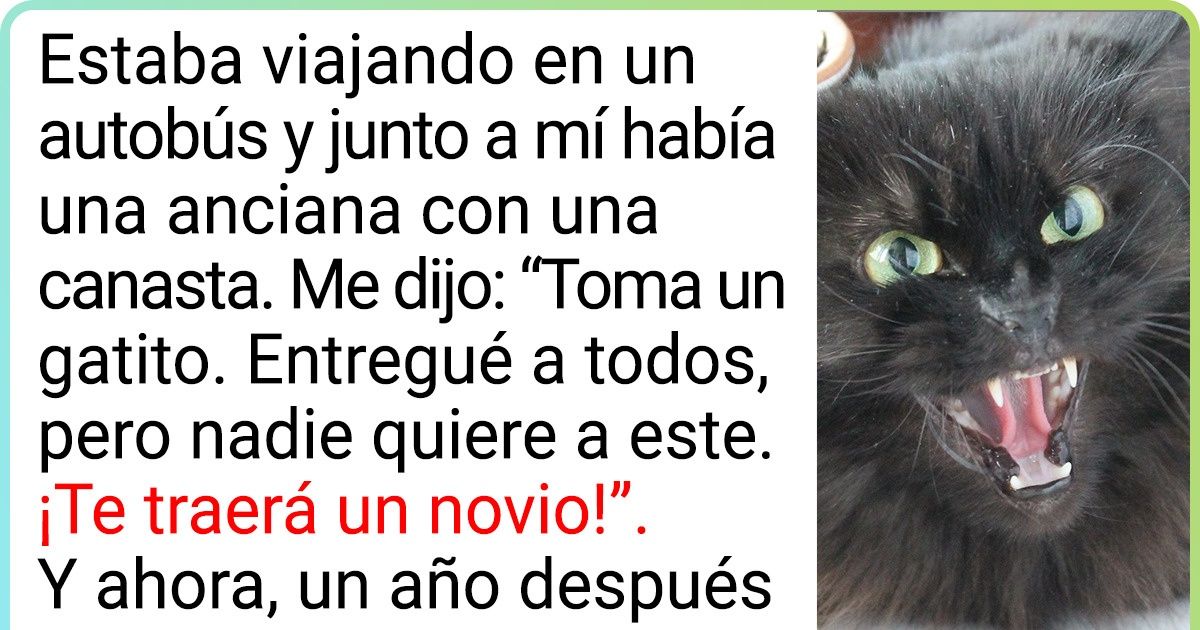 20+ Personas que, en lugar de una mascota de élite, se aventuraron a tener un mestizo y se llevaron el premio gordo 20+ Personas que, en lugar de una mascota de élite, se aventuraron a tener un mestizo y se llevaron el premio gordo