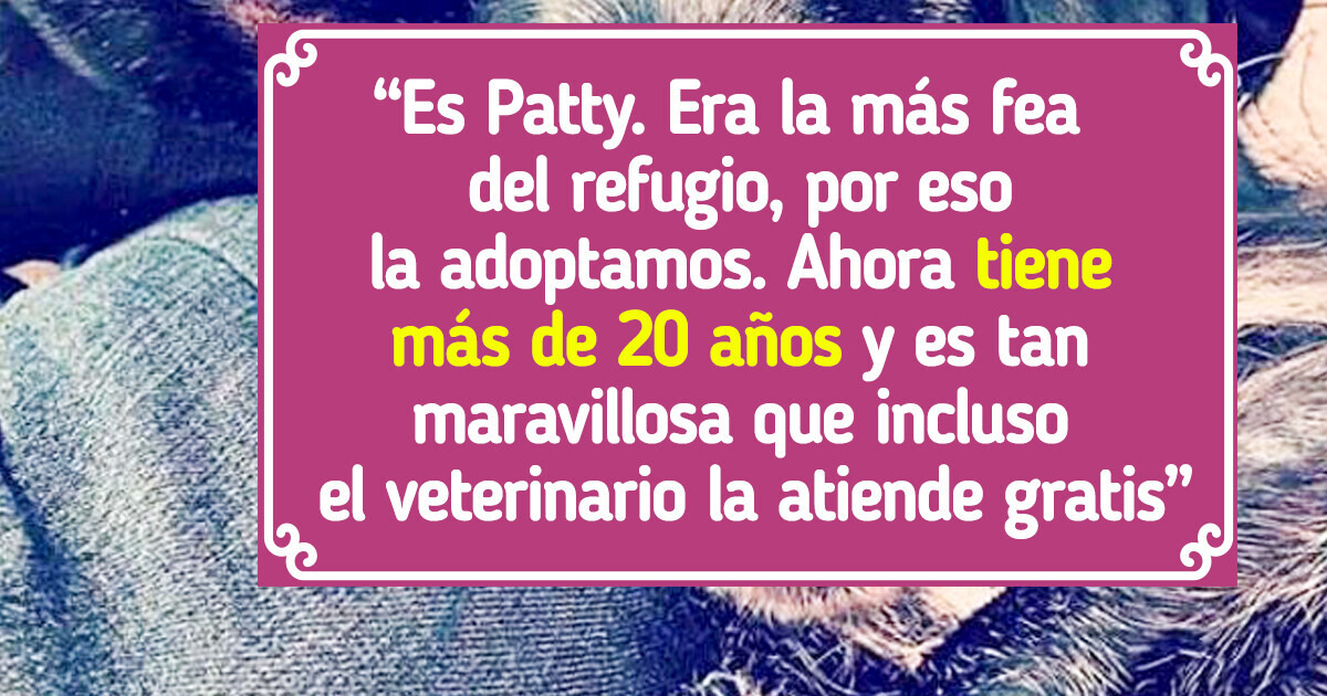 20 Mascotas que envejecen feliz y cómodamente junto a sus humanos 20 Mascotas que envejecen feliz y cómodamente junto a sus humanos