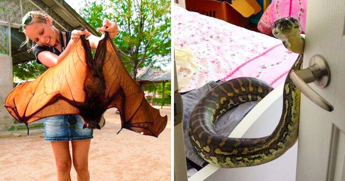 Fotos impresionantes en las que la naturaleza quiso sorprendernos y lo logró