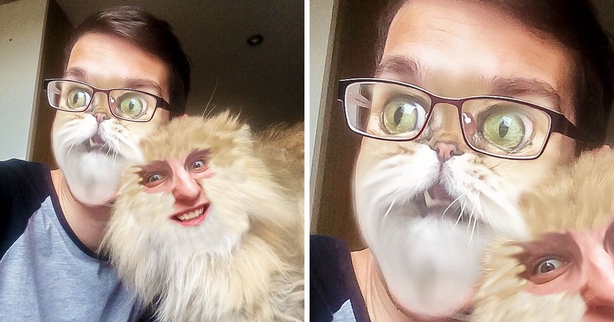 Las personas intercambian caras con sus mascotas, y es extraño e hilarante a la vez