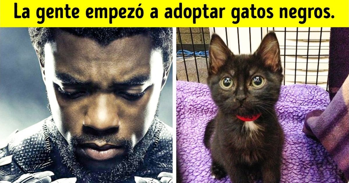 14 Películas que cambiaron algo para siempre en este mundo