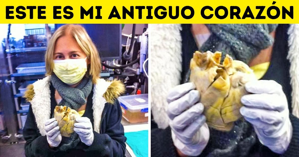 20 Momentos especiales de la vida de las personas comunes por las que te alegrarás como si fuera por ti mismo